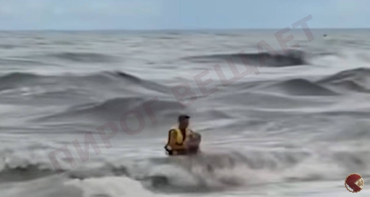 Спасатель вынес бездомного пса из бушующего моря в Сочи
